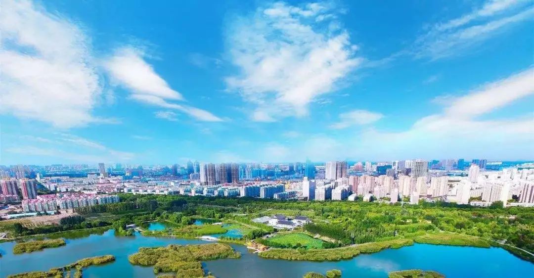 体育app官网登录入口