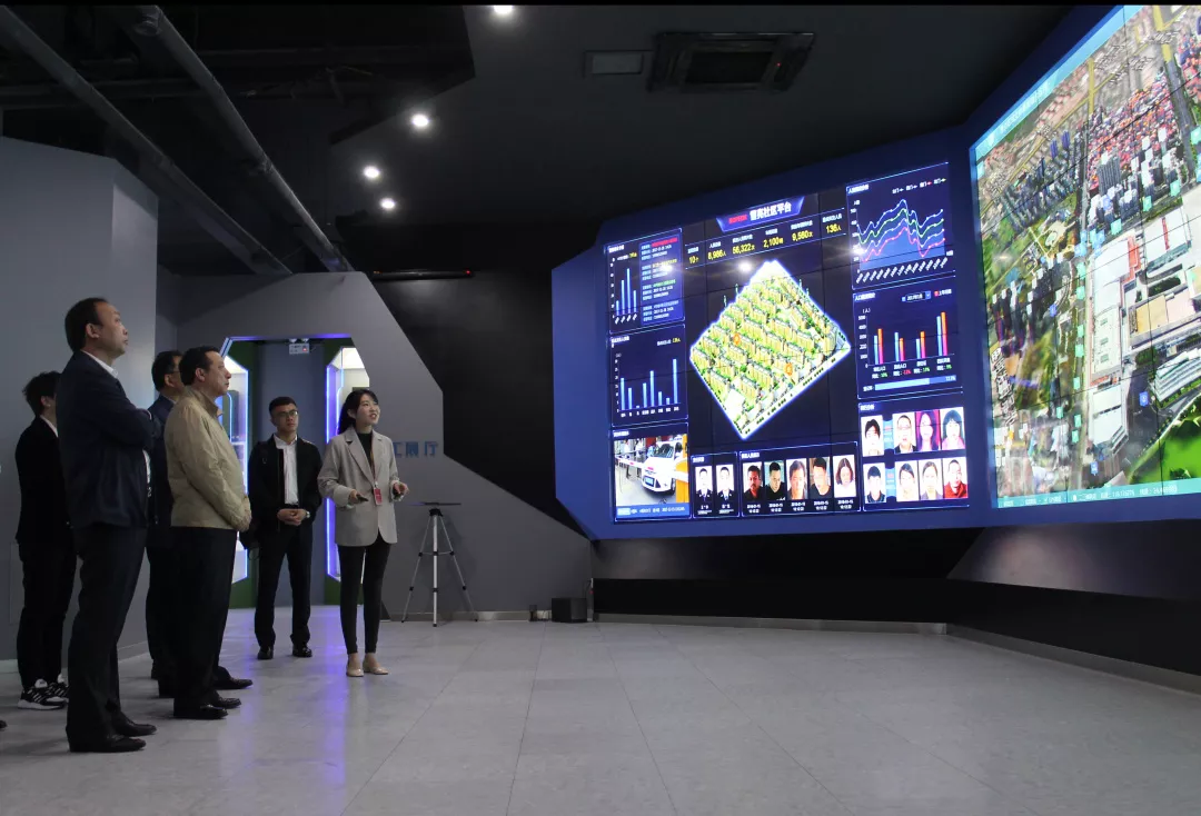 体育app官网登录入口