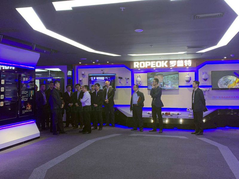 体育app官网登录入口