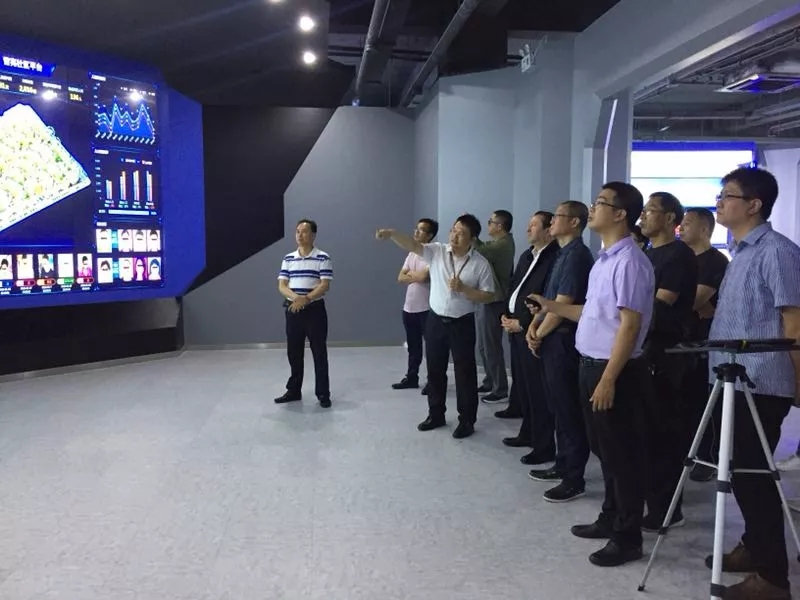 体育app官网登录入口