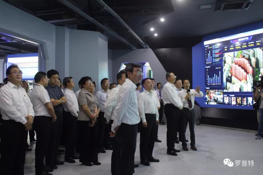 体育app官网登录入口