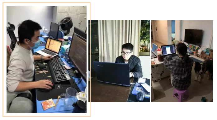 体育app官网登录入口