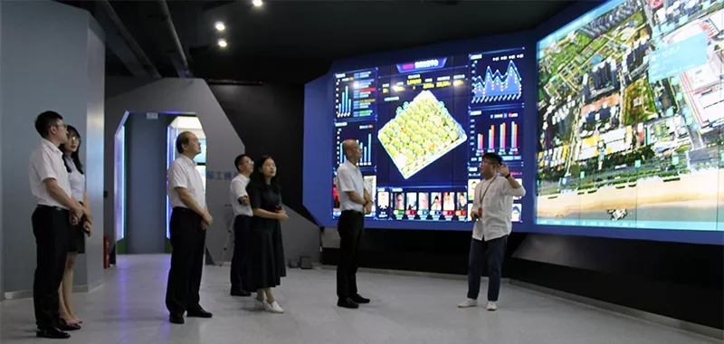 体育app官网登录入口