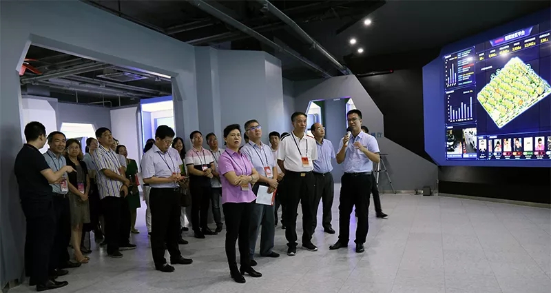 体育app官网登录入口