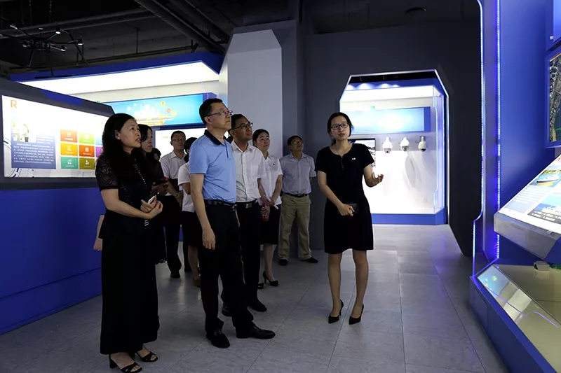 体育app官网登录入口