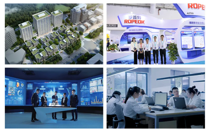 体育app官网登录入口