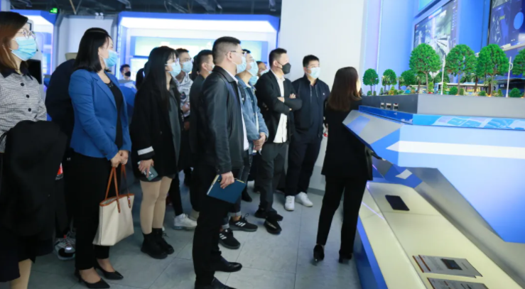 体育app官网登录入口