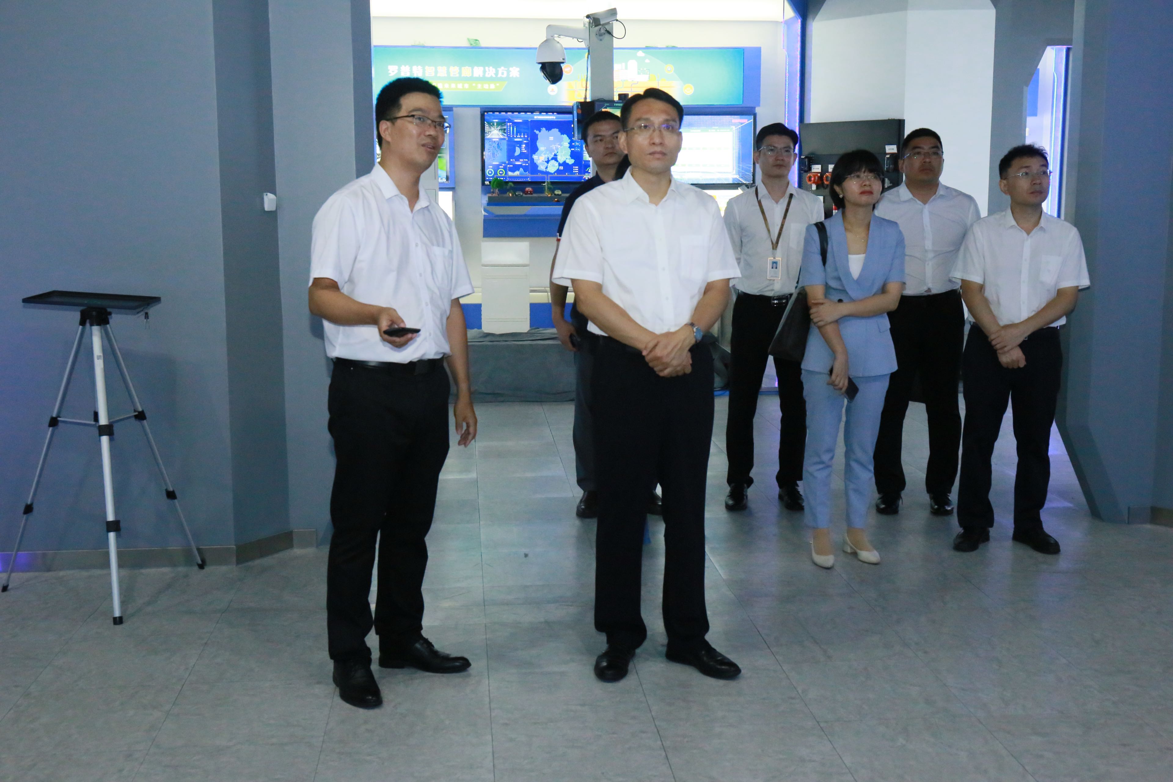 体育app官网登录入口