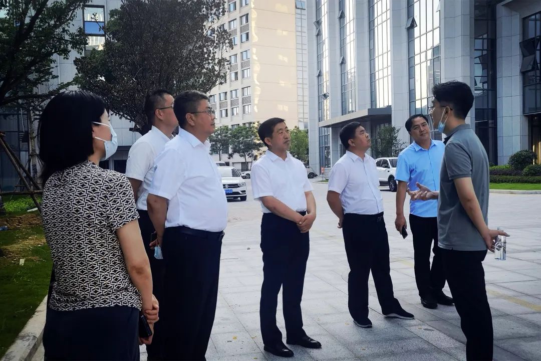 体育app官网登录入口