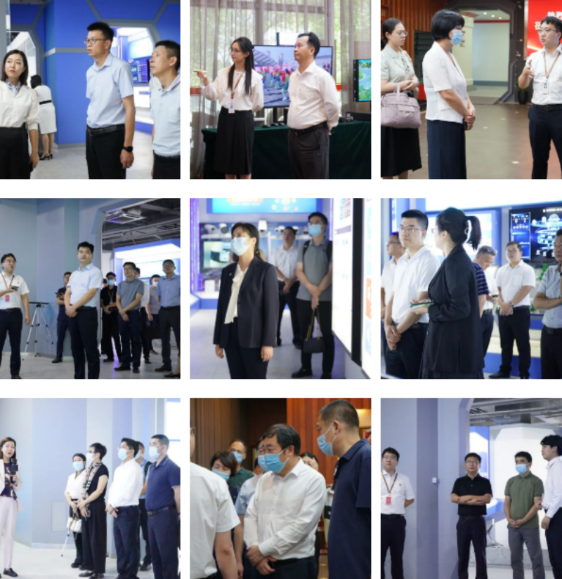 体育app官网登录入口