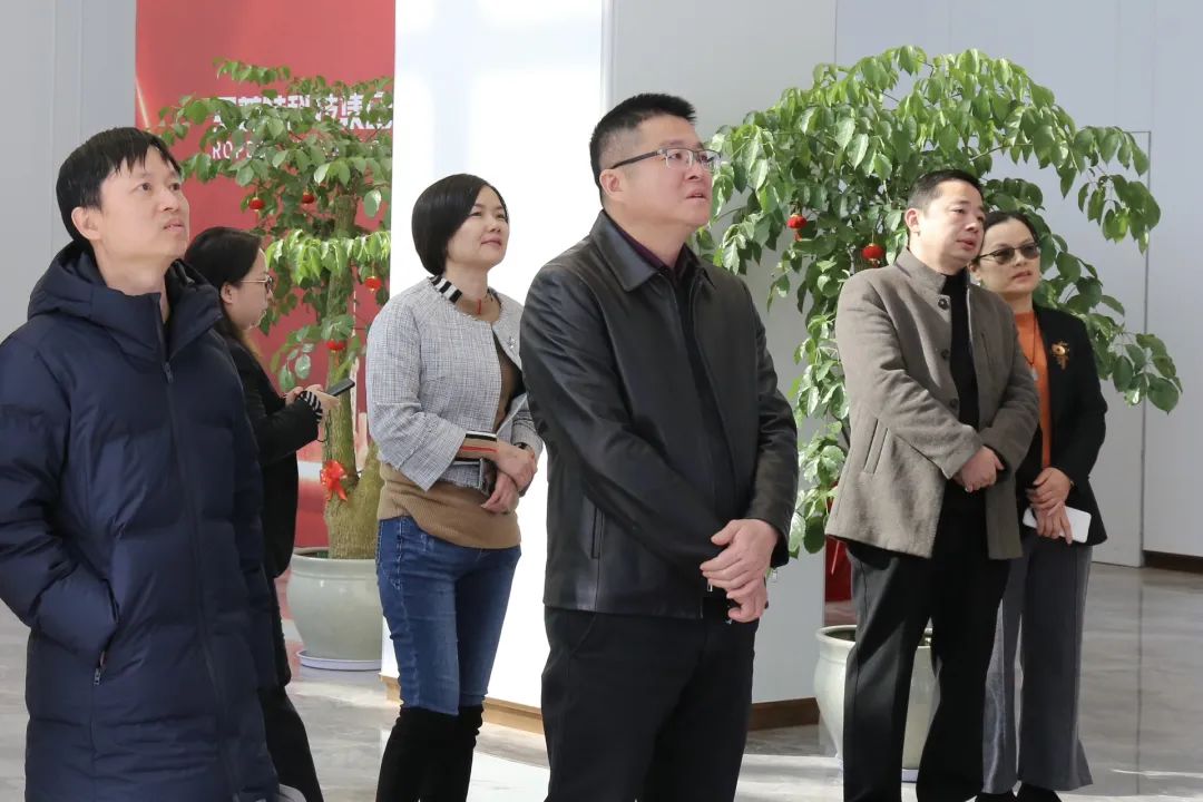 体育app官网登录入口