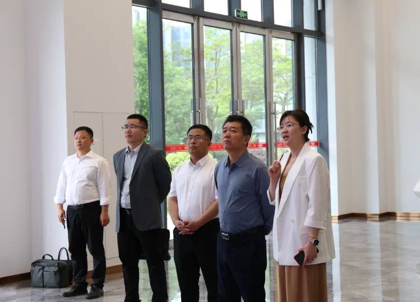 体育app官网登录入口