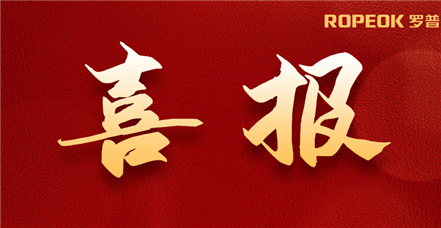罗普特集团解决方案入选“2022年信息技术应用创新解决方案（典型解决方案）”